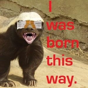 Meet your Posher, Paula